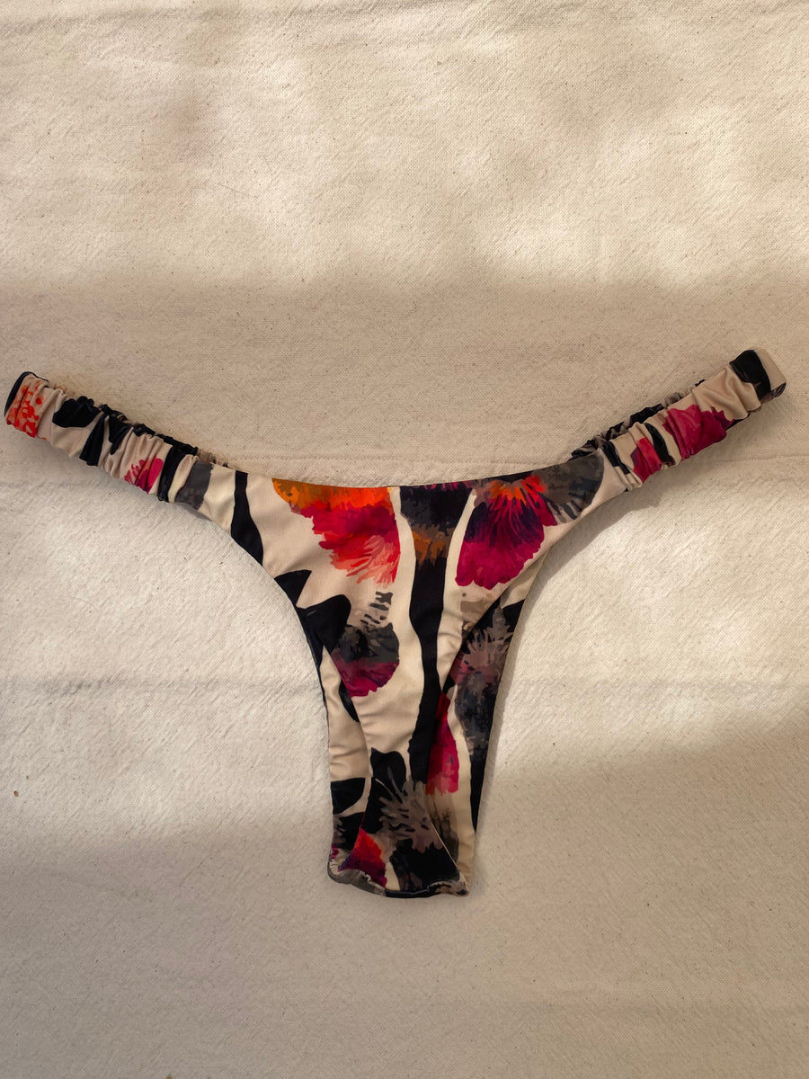 Less Lola Elqui PREVENTA